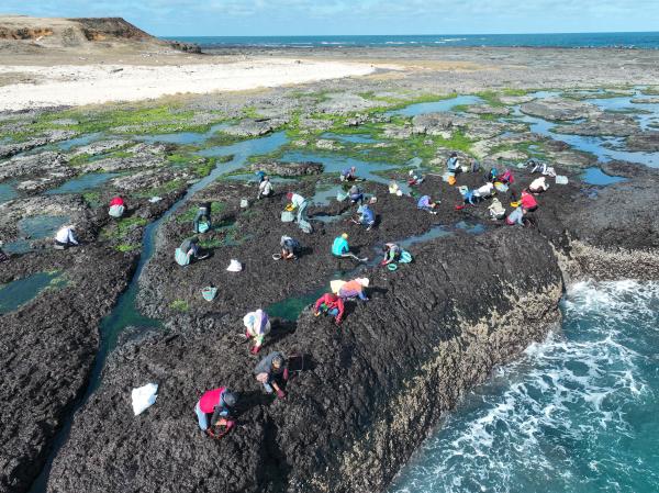 2024姑婆嶼採紫菜記錄