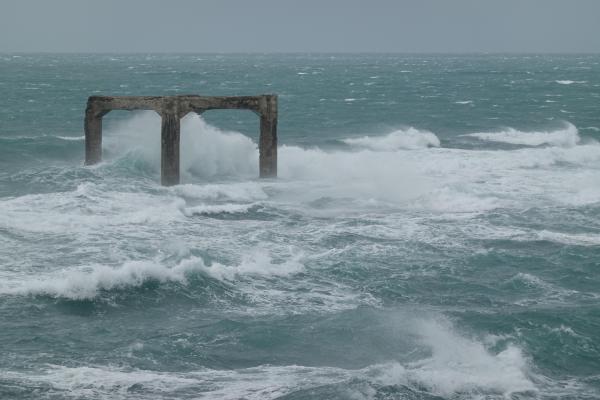 2020跨海大橋鹹水煙記錄