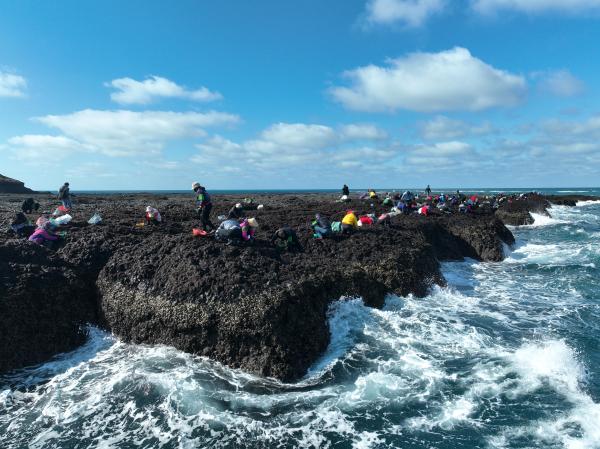 2024姑婆嶼紫菜採集