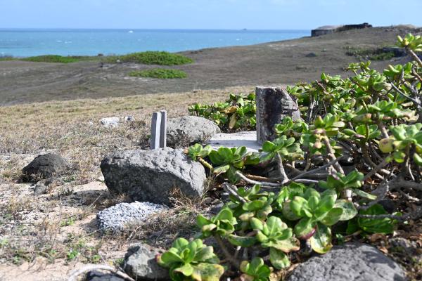 2024陸補15號三等三角點記錄