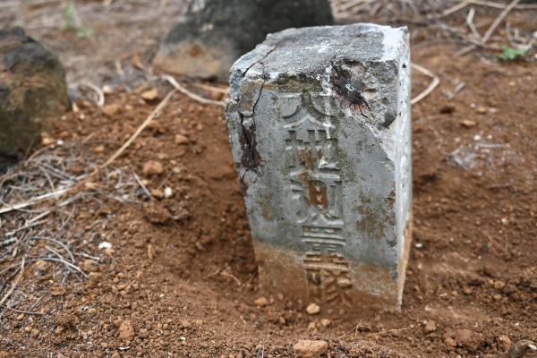 2024三角點陸補25記錄