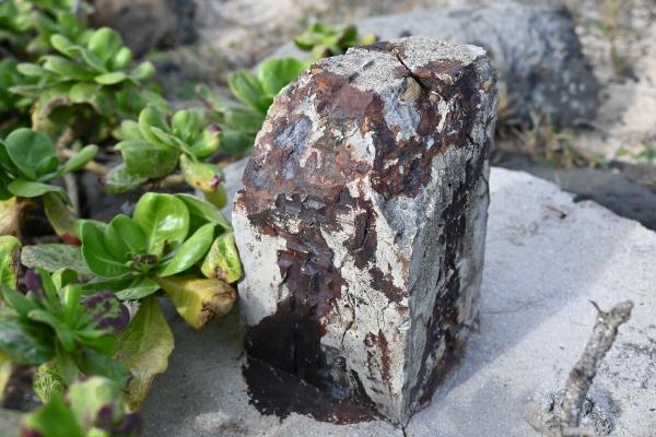 2024陸補15號三等三角點記錄