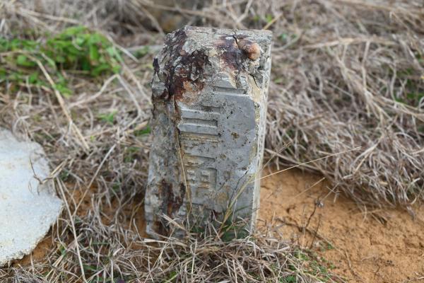 2024陸補41號記錄