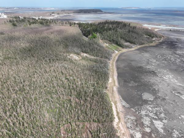 2024城前講美銀合歡記錄