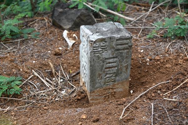 2024三角點陸補25記錄