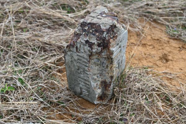 2024陸補41號記錄