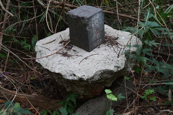 2024三等三角點記錄