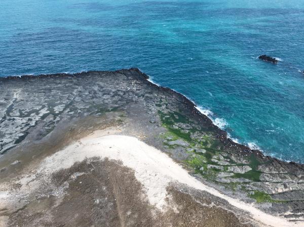 2024姑婆嶼紫菜採集