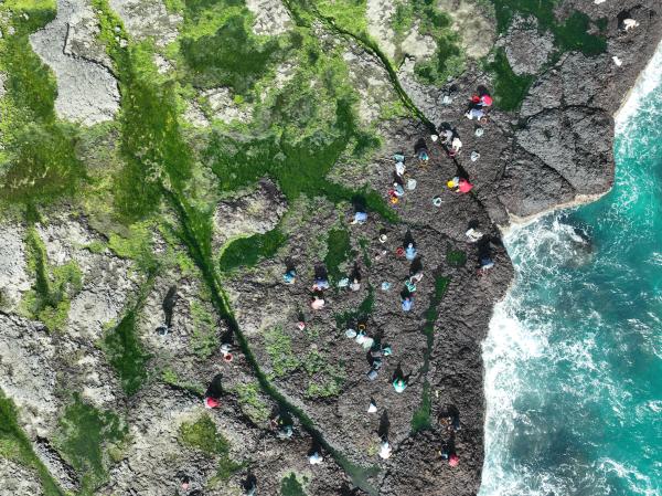 2024姑婆嶼紫菜採集