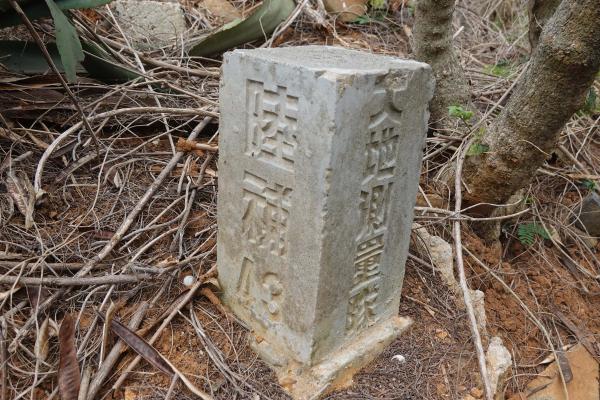 2024三等三角點陸補43號記錄