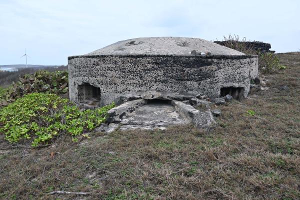 2024陸補15號三等三角點記錄