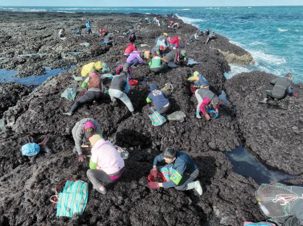 2024姑婆嶼紫菜採集