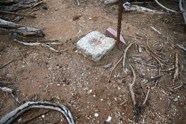 892號三等三角點記錄