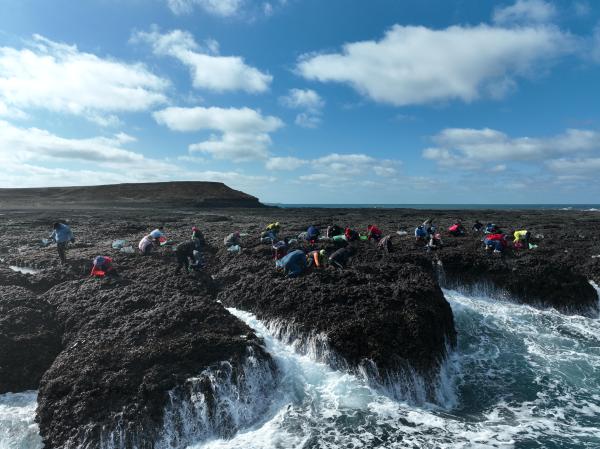 2024姑婆嶼紫菜採集