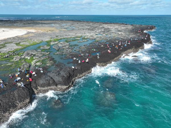 2024姑婆嶼採紫菜記錄