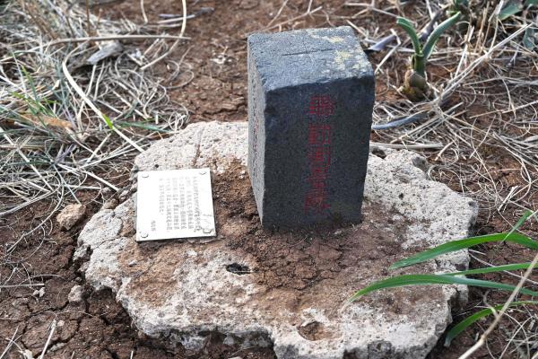 2024內補333號三角點記錄