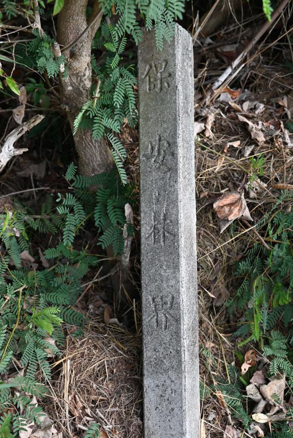 2024保安林界碑記錄