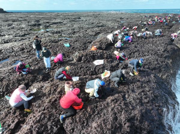 2024姑婆嶼紫菜採集