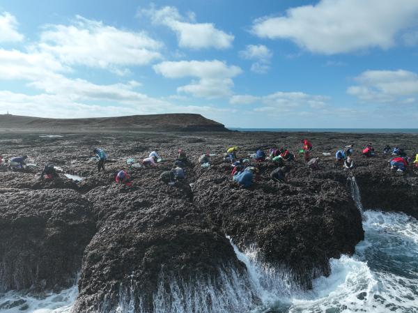 2024姑婆嶼紫菜採集