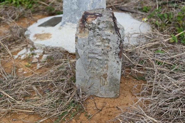 2024陸補41號記錄