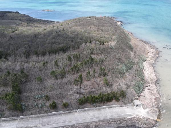 2021嵵板頭山記錄