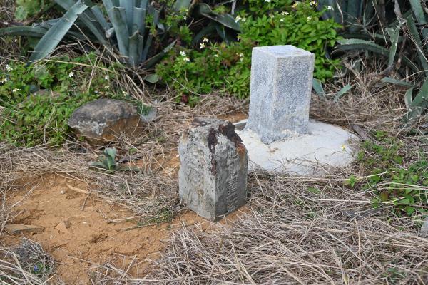 2024陸補41號記錄