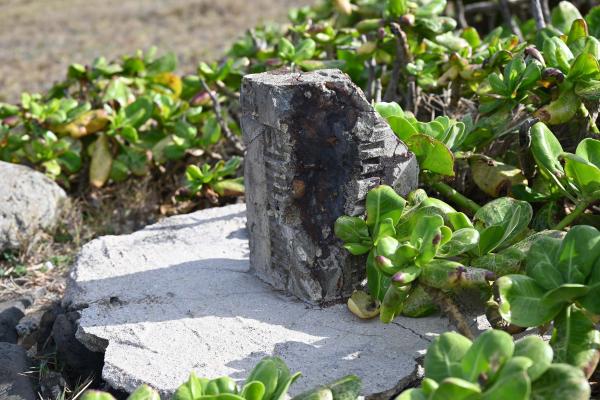 2024陸補15號三等三角點記錄