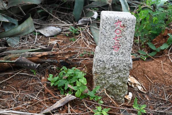 2024瓦硐村三角點記錄