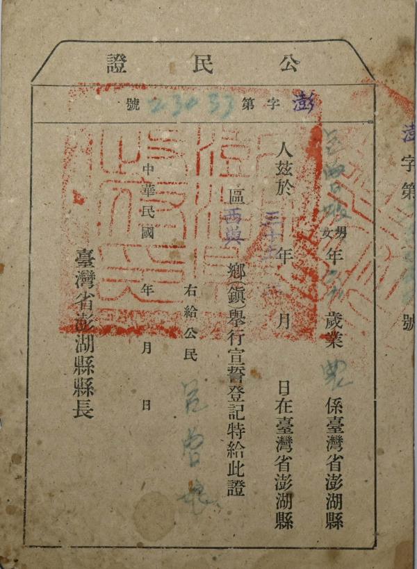 宣誓與公職人員選舉文獻