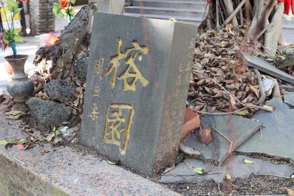 2025通梁古榕記錄