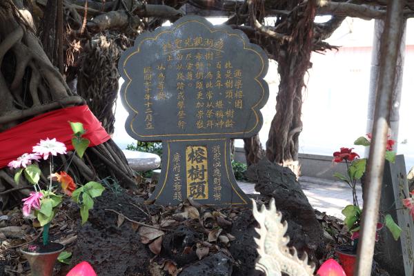 2025通梁古榕記錄