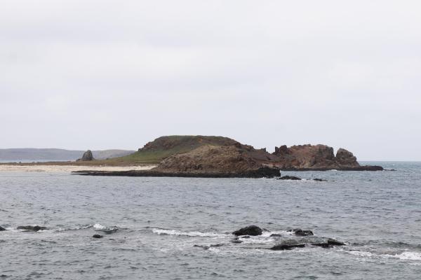 2025金瓜仔礁記錄