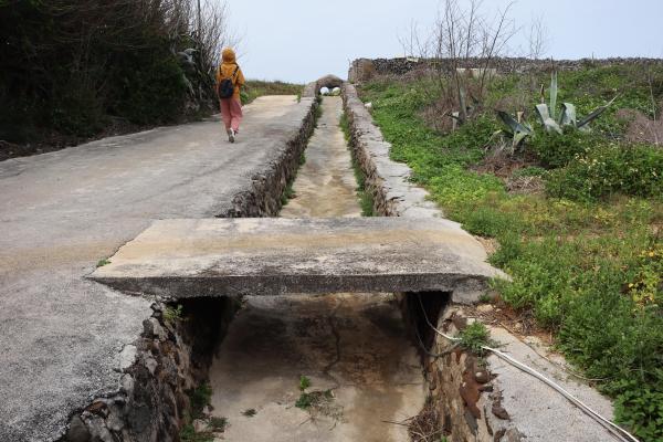 2025吉貝龍喉記錄