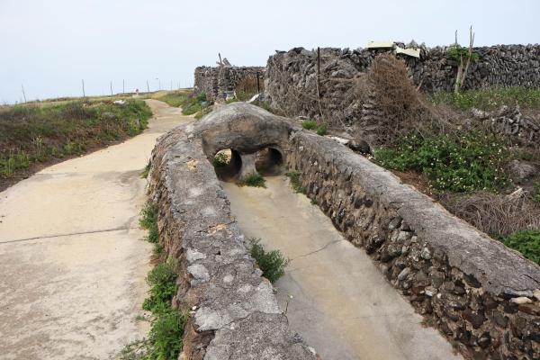 2025吉貝龍喉記錄