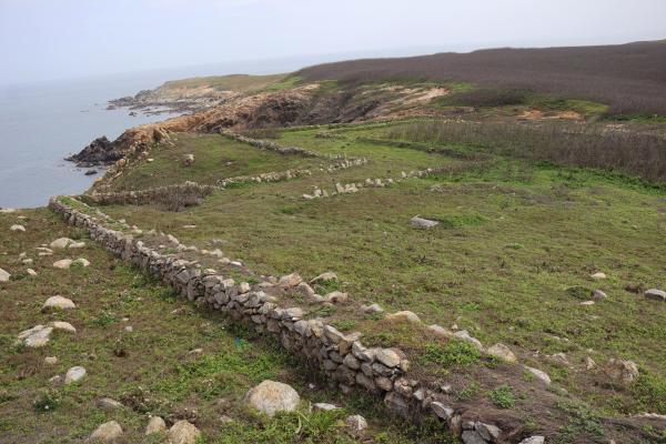 2025花嶼村風林記錄