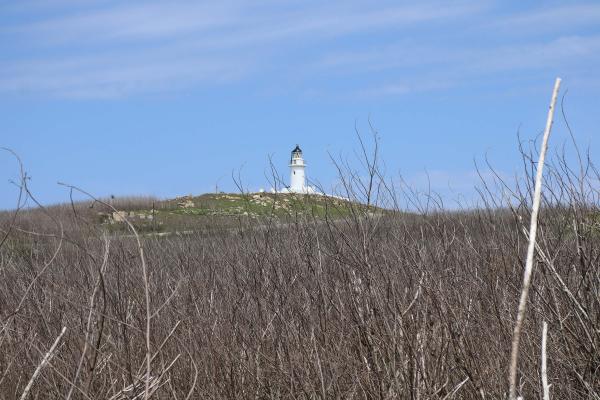 2025花嶼燈塔記錄