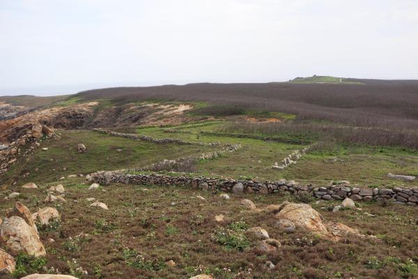 2025花嶼村風林記錄