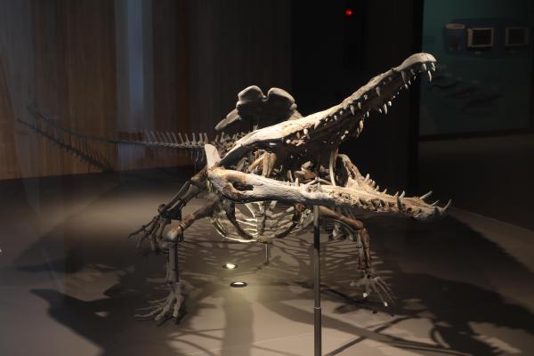 2025澎湖化石館記錄