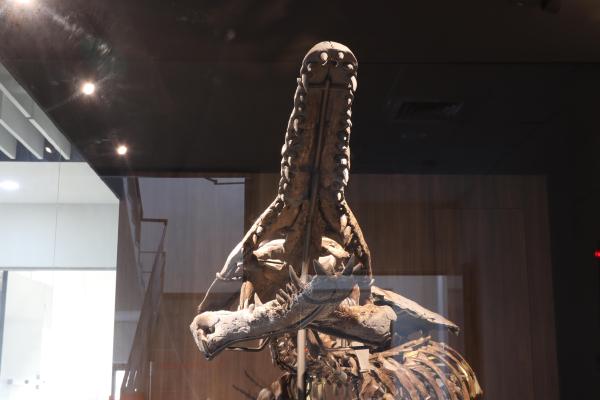 2025澎湖化石館記錄