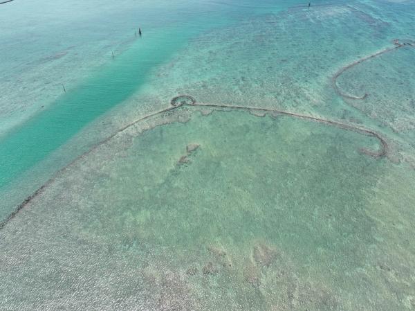 2024後寮石滬記錄