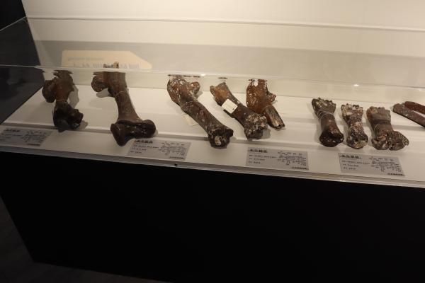 2025澎湖化石館記錄