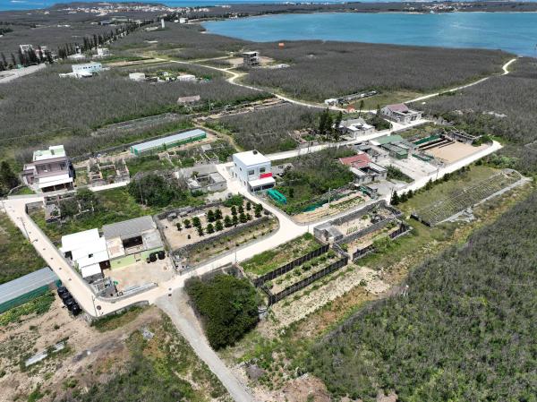 2025赤崁仔頭記錄