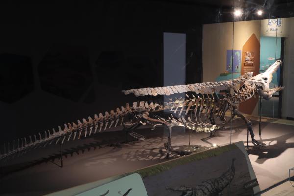 2025澎湖化石館記錄