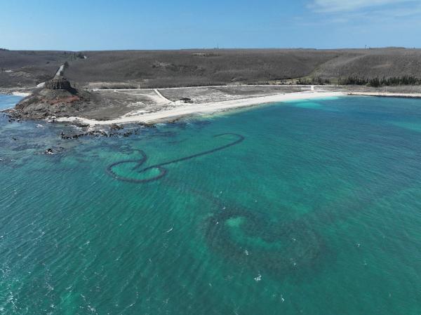2025赤馬石滬記錄