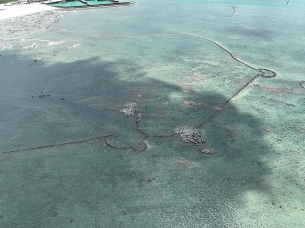 2024後寮石滬記錄