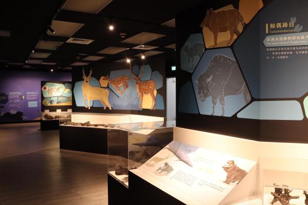 2025澎湖化石館記錄