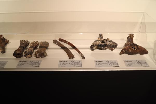 2025澎湖化石館記錄