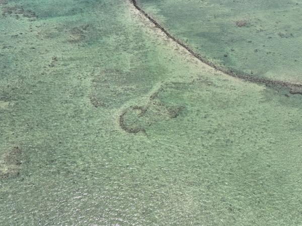 2024後寮石滬記錄