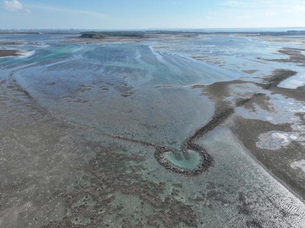 2025岐頭石滬記錄