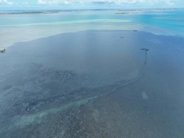 2025通梁石滬記錄